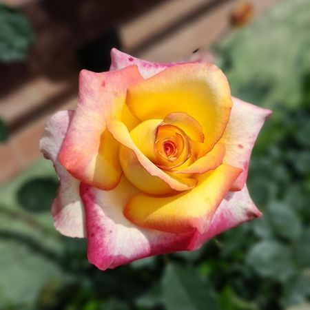 Pousada Dona Elza 몬테베르데 외부 사진